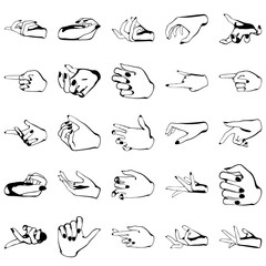 Female hands with manicure, vector set of beautiful woman hands isolated on white background