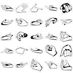 Obraz premium Female hands with manicure, vector set of beautiful woman hands isolated on white background
