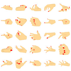 Female hands with manicure, vector set of beautiful woman hands isolated on white background