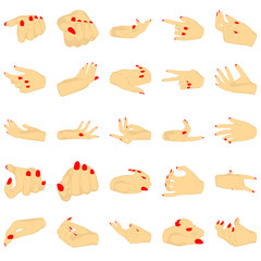 Fototapeta premium Female hands with manicure, vector set of beautiful woman hands isolated on white background