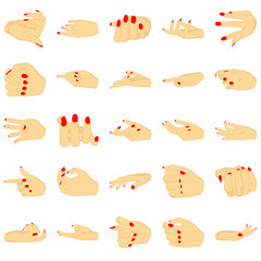 Female hands with manicure, vector set of beautiful woman hands isolated on white background