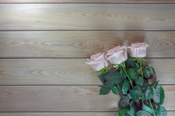 pink roses on a wooden background