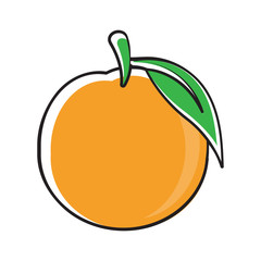 Illustration icon with orange fruit concept.