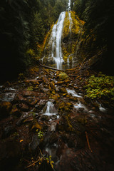 Fototapeta na wymiar Proxy Falls Oregon