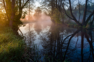 Barwny poranek nad rzeką Supraśl. Mgista Dolina Supraśli. Puszcza Knyszyńska, Podlasie, Polska