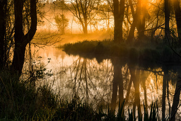 Barwny poranek nad rzeką Supraśl. Mgista Dolina Supraśli. Puszcza Knyszyńska, Podlasie, Polska © podlaski49