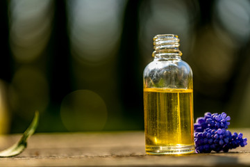Fresh blue flowers and essential oil as natural aromatherapy for headache and migraine relief on old wooden background.