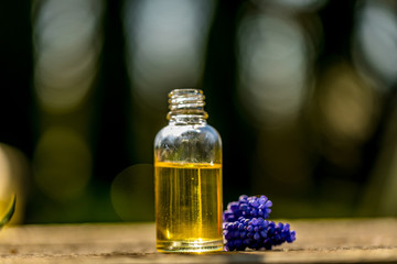 Fresh blue flowers and essential oil as natural aromatherapy for headache and migraine relief on old wooden background.