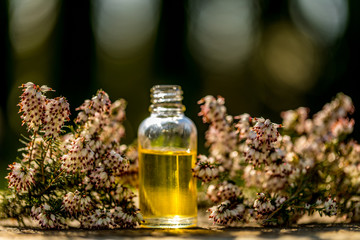 Fresh flowers, different essential oil bottles on bokeh background. Concept alternative healthcare. Aromatherapy concept.