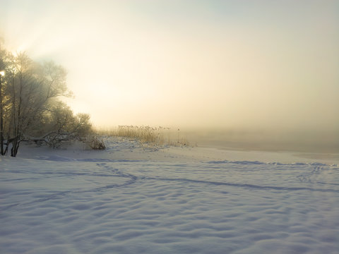 Hazy ice cold winter sunset landscape with snow, tree and fog over frozen lake.