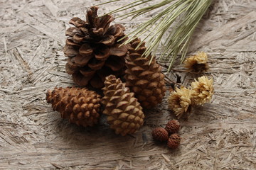 pine cones on a wooden background
