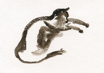 Obraz premium Watercolor sketch of a cat