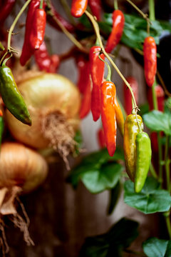 Organic red peepers and red onions in an Asturian traditional horreo