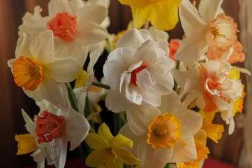 Fototapeta na wymiar A bouquet of flowers on a dark background. White narcissus in a vase. Flower gift concept. Different varieties of narcissus in one bouquet