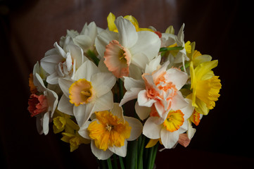 A bouquet of flowers on a dark background. White narcissus in a vase. Flower gift concept.
