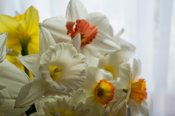 bouquet of daffodils on dark wooden table