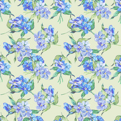 Forget me not Flowers Pattern. Watercolor Illustration.