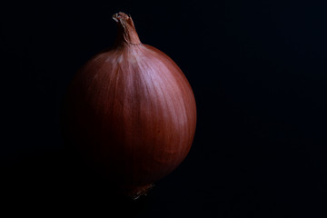 Close-up of an onion, dark and moody. Isolated against a black background, with copy space.