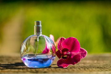 Obraz na płótnie Canvas Bottle of perfume with flowers on color bokeh background.