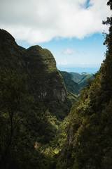 Landscape of a valley covered with trees with the sea in the background. Beautiful summer day with clear sky. 