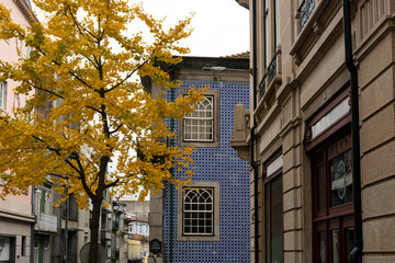 Building with traditional portuguese blue tiles and tree with yellow leaves in the autumn.