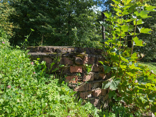 The remains of a destroyed brick wall in green bushes.