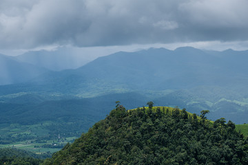 Forest during the rainy season on the mountains of northern Thailand © Anon