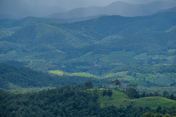 Fototapeta na wymiar Forest during the rainy season on the mountains of northern Thailand