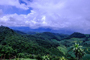 Forest during the rainy season on the mountains of northern Thailand