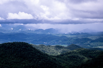 Fototapeta premium Forest during the rainy season on the mountains of northern Thailand