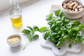 Pesto Ingredients  on White marble Background