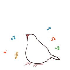 横向きで歌を歌うご機嫌な文鳥