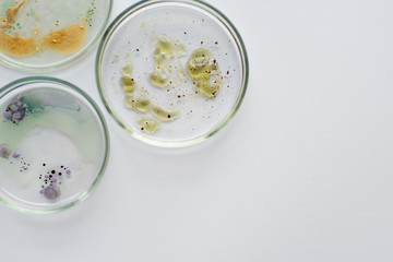 Viruses and bacteria in a Petri dish, various analyses in the laboratory.