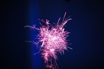 Low Angle View Of Firework Display Against Clear Sky At Night