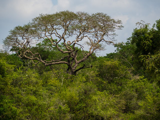 SRI LANKA