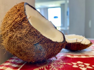 Fresh coconut cut - lateral view