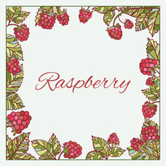 Raspberry leaves colorful frame graphics vector