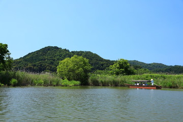 
 近江八幡_水郷巡り 