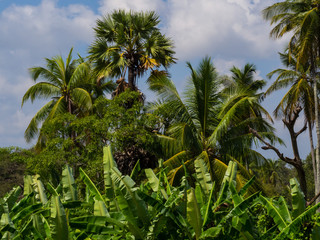 SRI LANKA