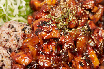 Korean stir fried meat with sauce 