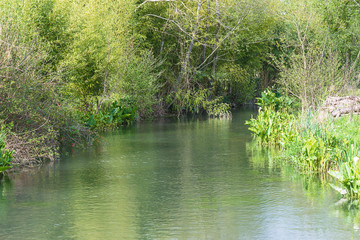 Beautiful spring landscape with tranquil river in greenery on sunny day