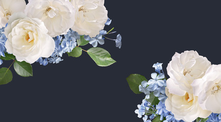 Obraz na płótnie Canvas Floral banner, header with copy space. White roses and light blue plumbago isolated on dark background. Natural flowers wallpaper or greeting card.