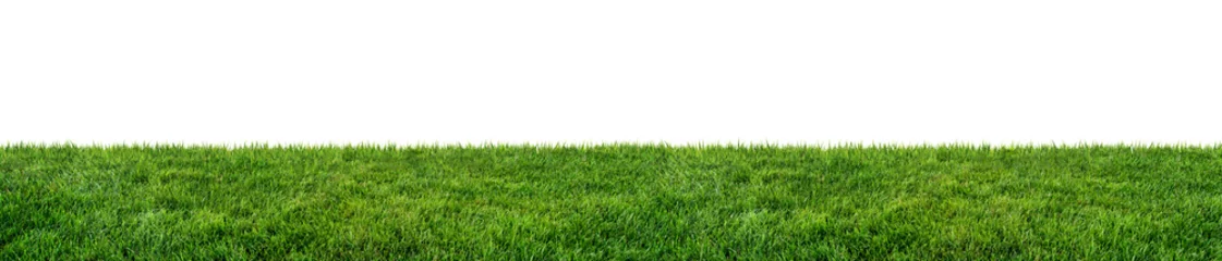 Foto op Plexiglas groen grasveld geïsoleerd op witte achtergrond © andreusK