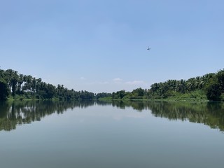 reflection of trees in the lake