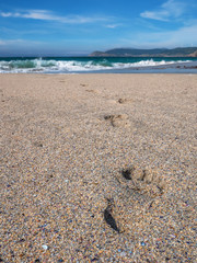 Close-up of footprints in the sand on the beach of Praia do Rostro in Galicia, Spain near Finisterre and Way of Saint James