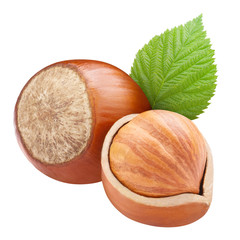 Delicious hazelnuts, isolated on white background