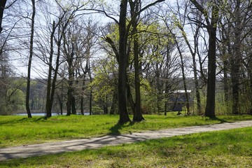 Park Sacrow mit Kirche hinter Bäumen