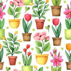 Seamless pattern of decorative flowers in pots.	