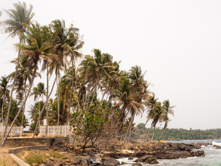 Obraz premium SRI LANKA