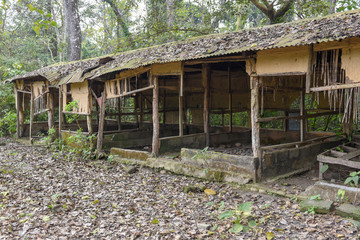 Old abandoned tourist resort in the jungle of Chitwan national park, Nepal